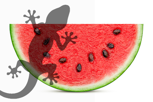 2.watermellon.jpg