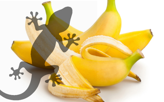 6 Good Reasons to Eat a Banana Today