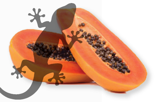 9.papaya.jpg