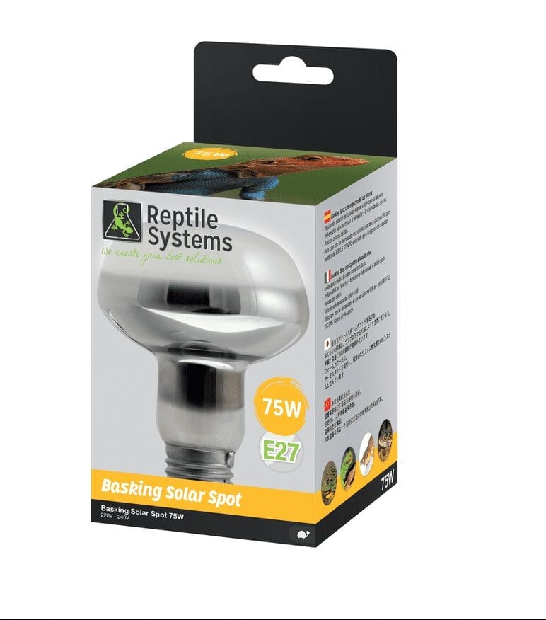 Basking-Spot-75w-e1565645965140.jpg