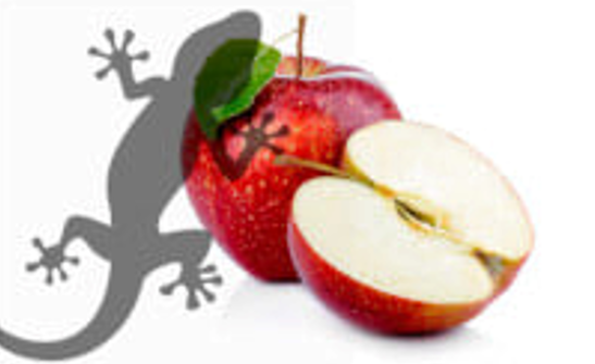 Reptile-Supplies-Awesome-Apple-Gecko-Diet.png