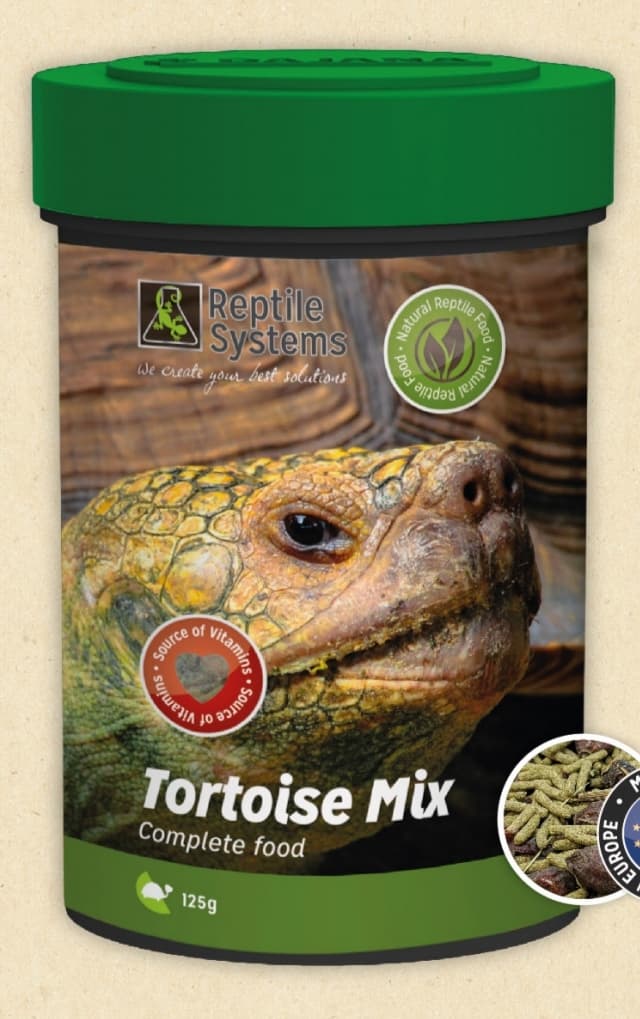 Tortoise-Mix.jpg