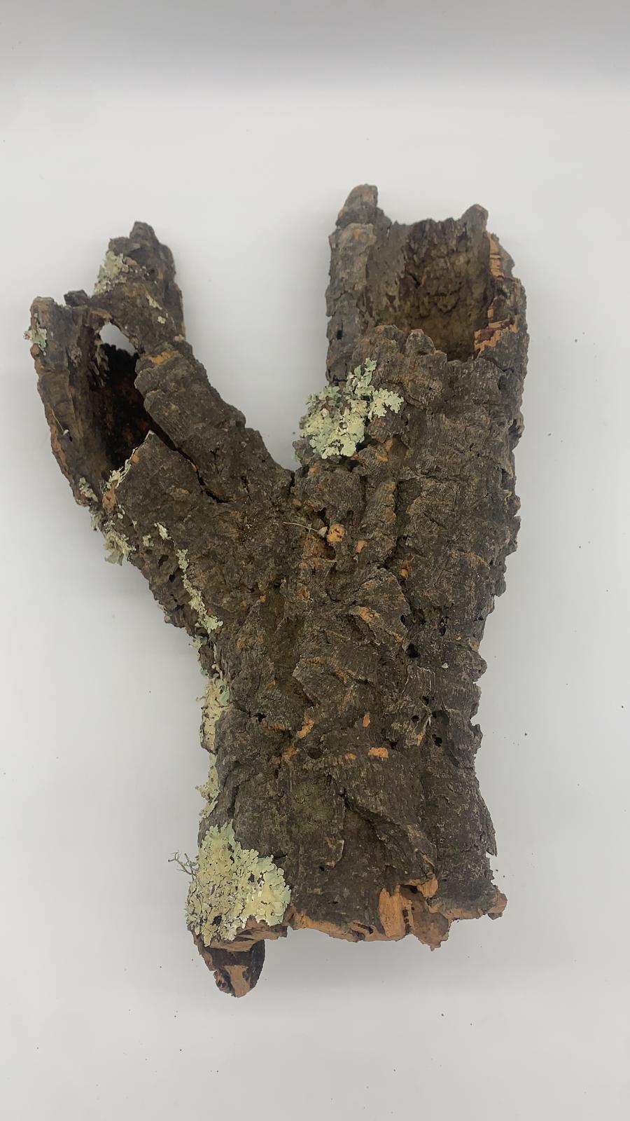 ddb2ee89-0f34-493f-956f-c81d822d1724