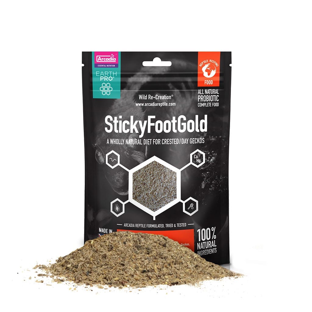 stickyfoot-gold-1.jpg