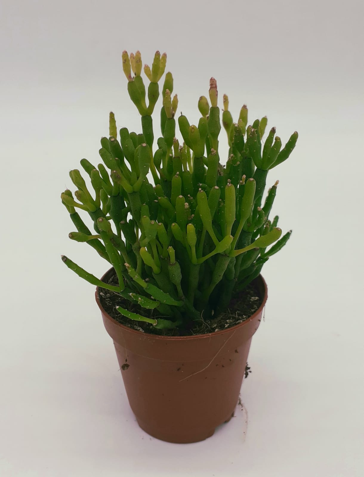 6a6ccad2-b8e0-49d9-aad2-e31782946740