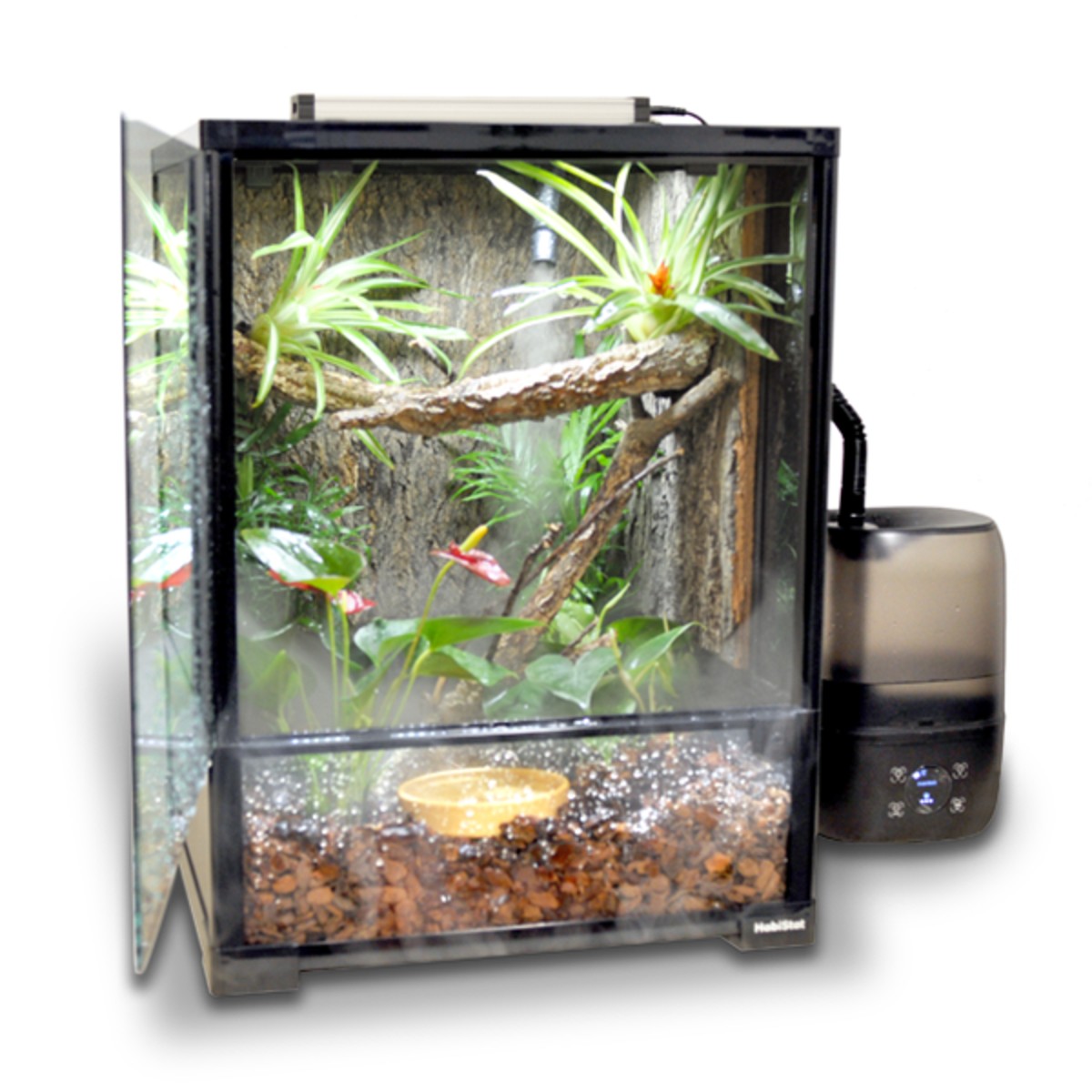 Habistat-Glass-Terrarium.jpg