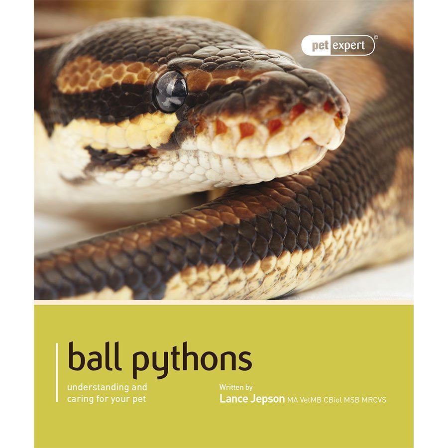 Pet-Expert-Ball-Pythons.jpg