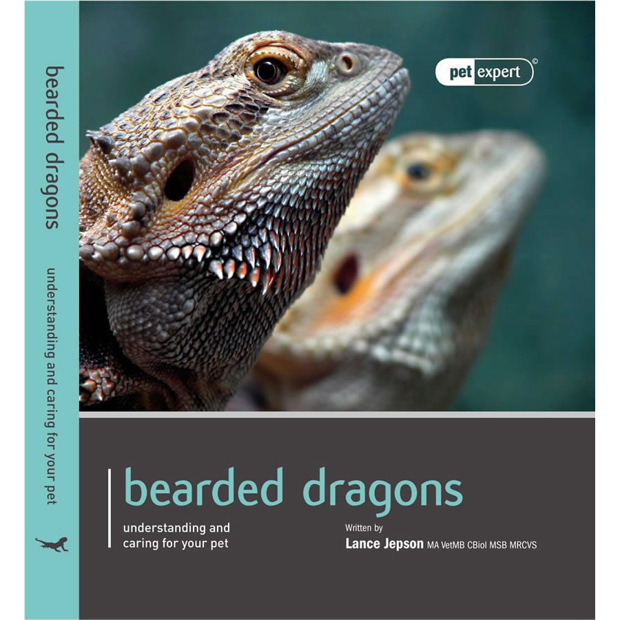 Pet-Expert-Bearded-Dragons.jpg