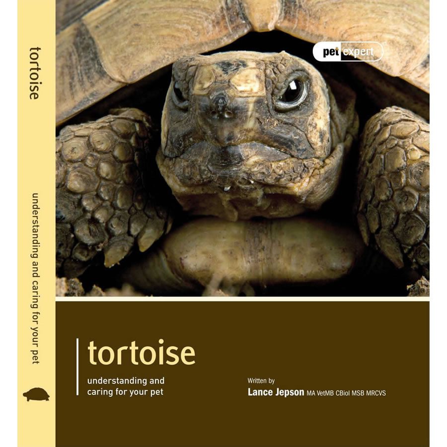 Pet-Expert-Tortoise.jpg